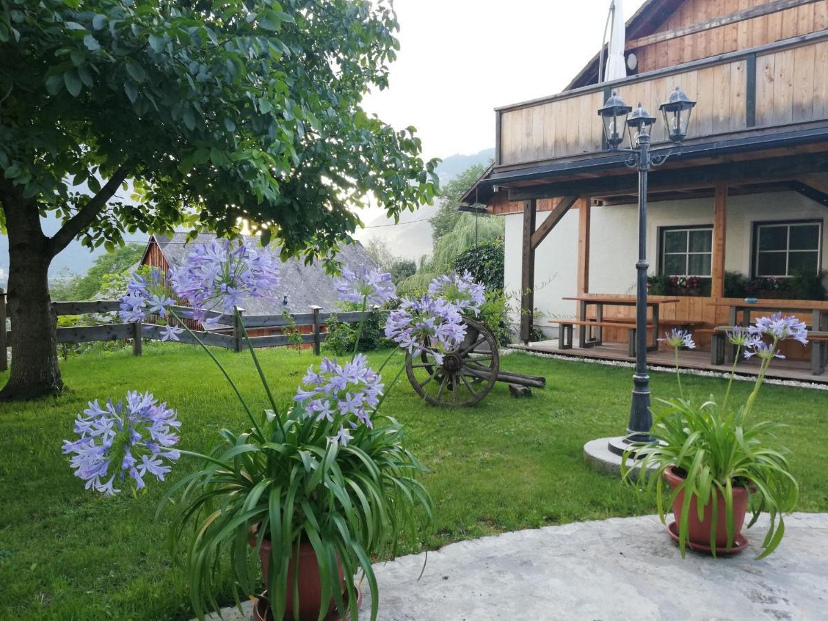 Ortnerhof Ennstal Aigen im Ennstal Exterior foto