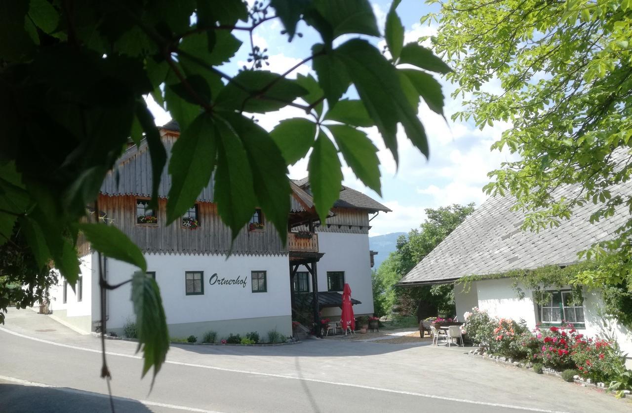Ortnerhof Ennstal Aigen im Ennstal Exterior foto